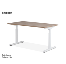 Afbeelding in Gallery-weergave laden, SitRight SitSit